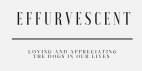 Effurvescent coupons