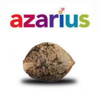 Azarius.net coupons