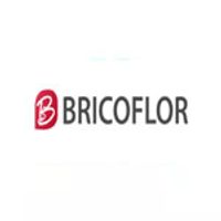 Bricoflor coupons