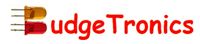 Budgetronics coupons