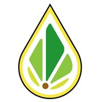Hemp coupons