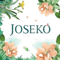 Joseko coupons