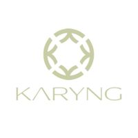 Karyng coupons