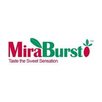 MiraBurst coupons