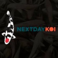 Nextdaykoi.com coupons