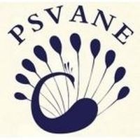 Psvane coupons