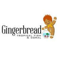 Gingerbread Tropical Fish  Coral coupons