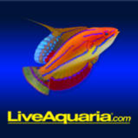 Liveaquaria.com coupons