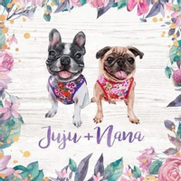 Juju + Nana coupons
